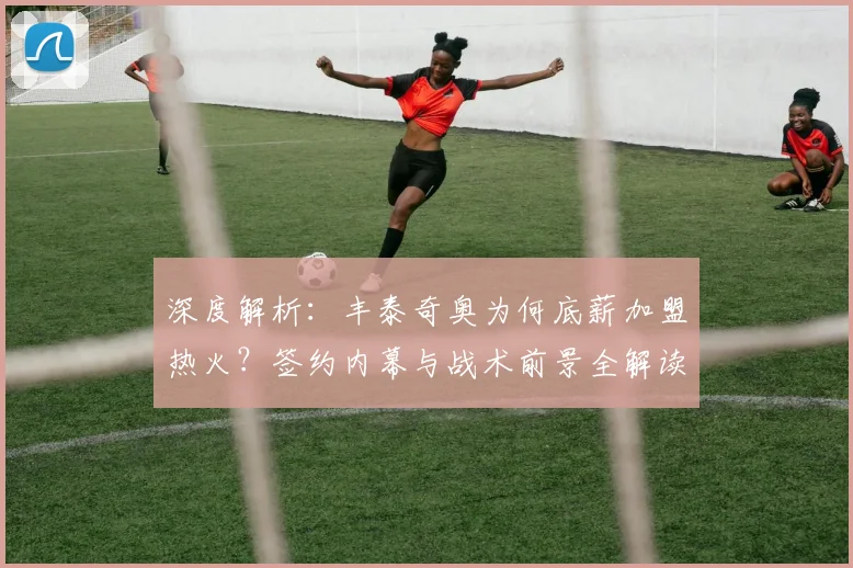 深度解析:丰泰奇奥为何底薪加盟热火?签约内幕与战术前景全解读